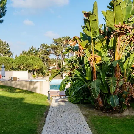 Lejlighed Maravilhoso T1 D'el Rey *